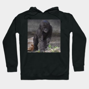 Western Lowland Gorilla Hoodie